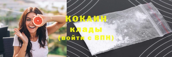 стафф Володарск